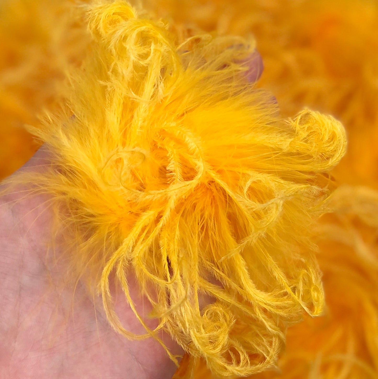 Ostrich Feather Puffs