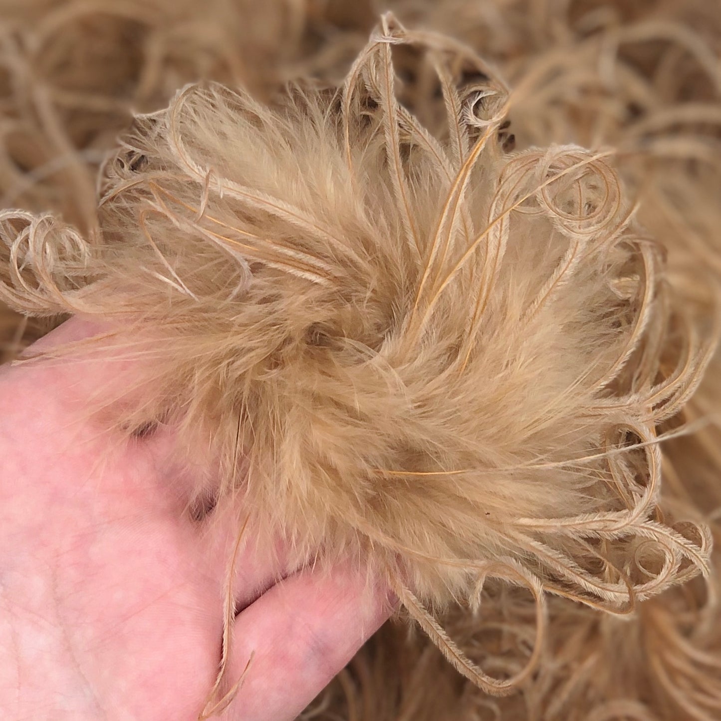 Ostrich Feather Puffs