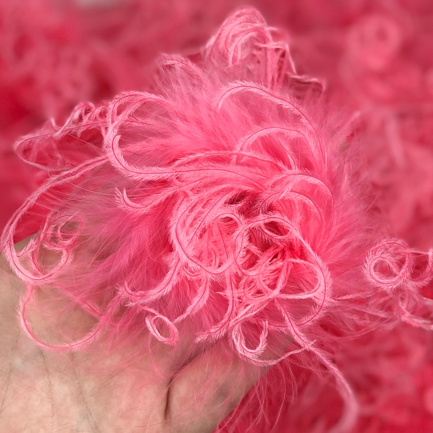 Ostrich Feather Puffs