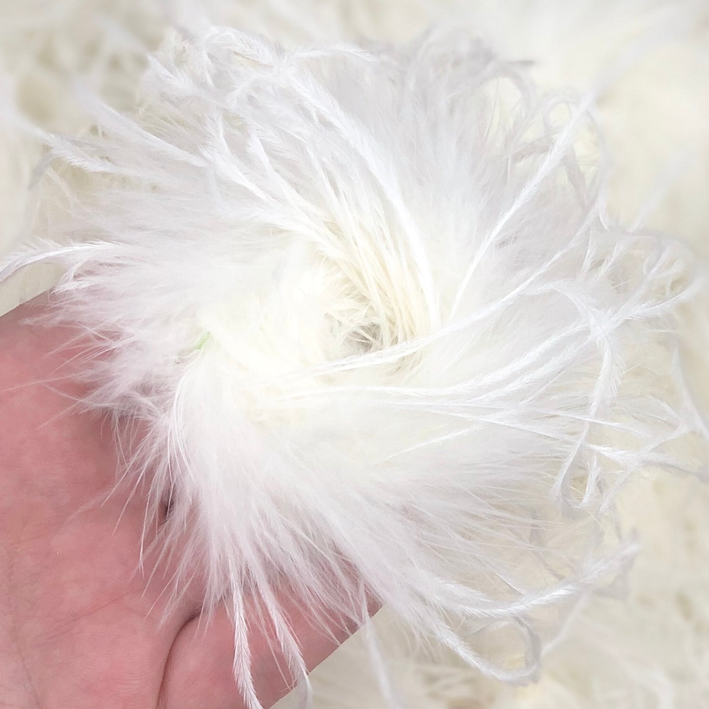 Ostrich Feather Puffs